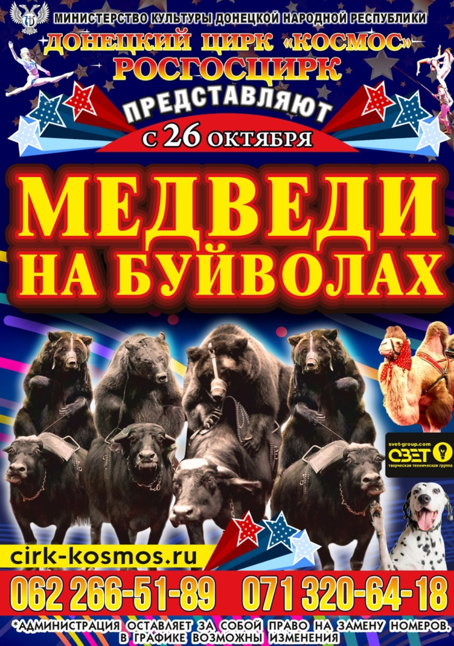 Афиша цирк программа. Цирк космос цирк в Донецке. Медведи на буйволах цирк. Медведи на буйволах цирк афиша. Медведи на буйволах.