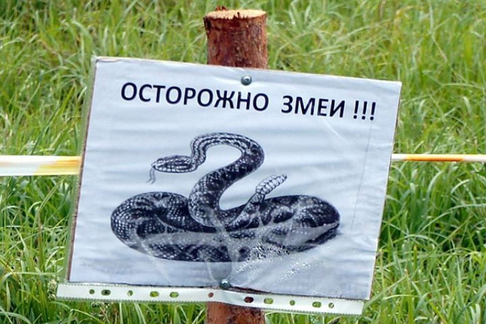 No photo