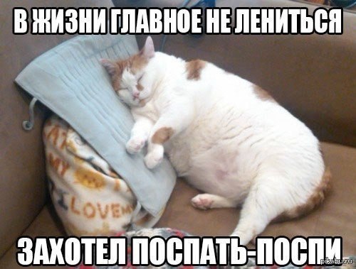 No photo
