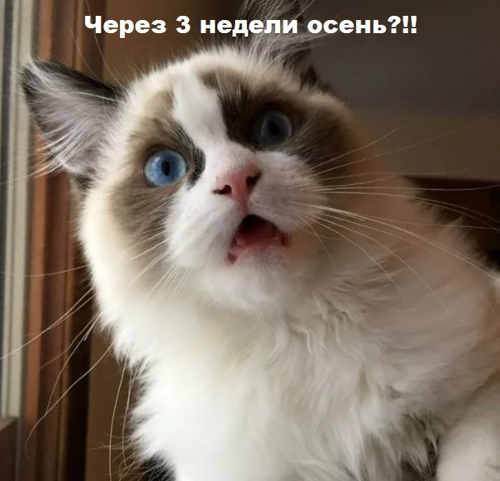 No photo
