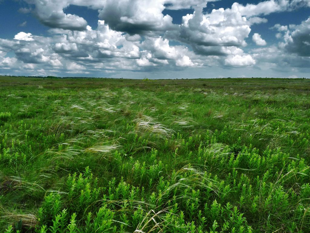 Хомутовская