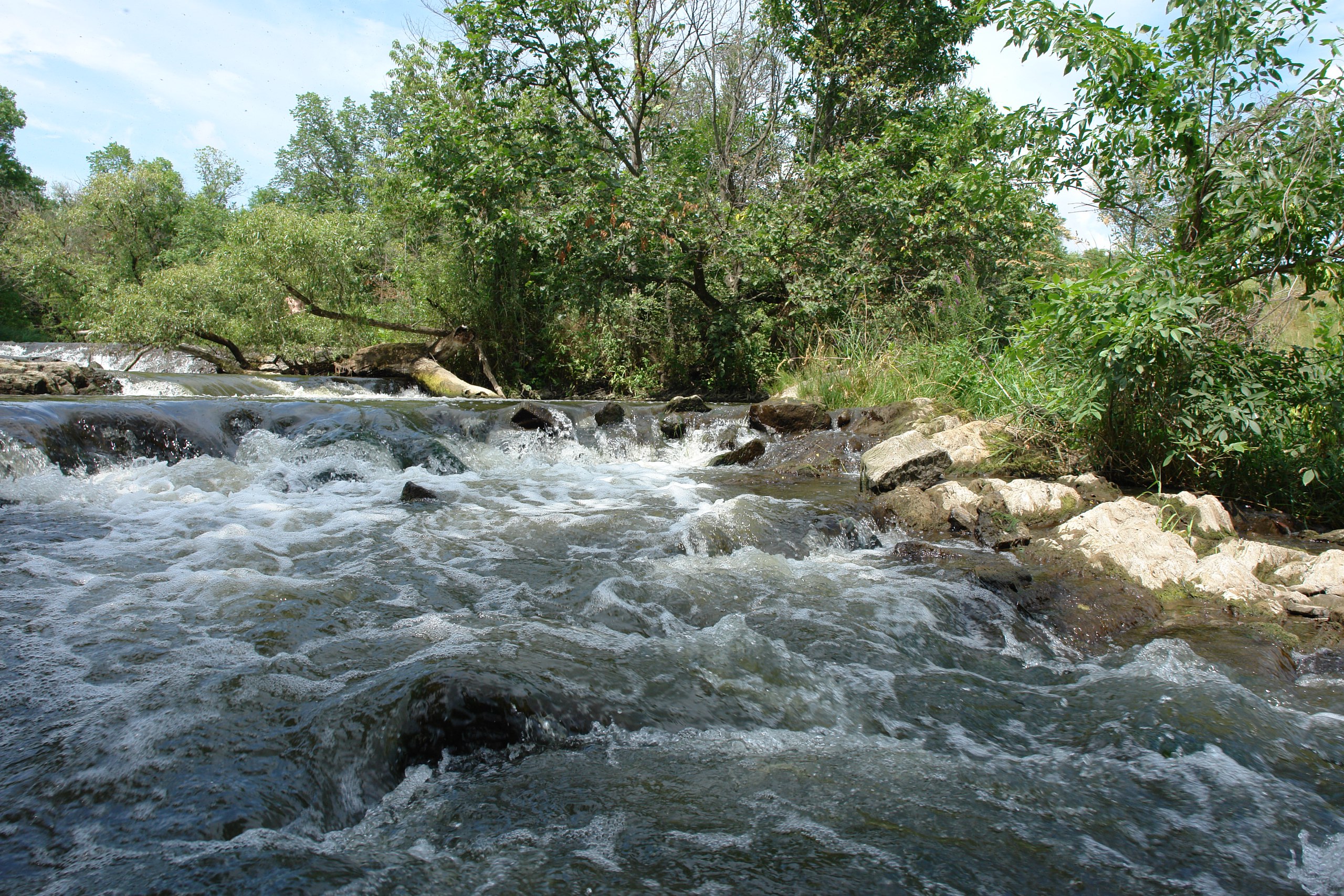 Парк донецкий кряж