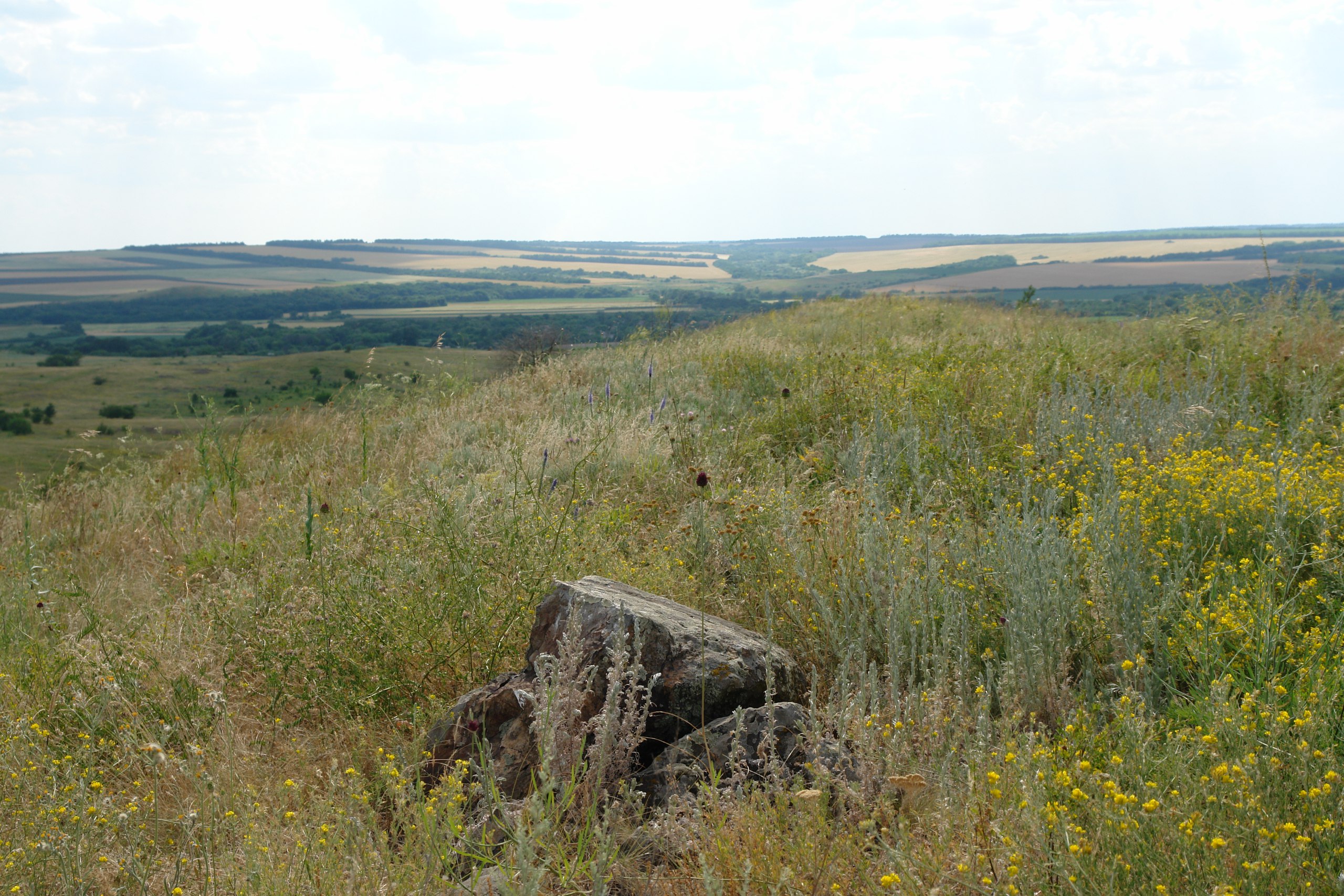 Ландшафтный парк донецкий. Ландшафтный парк Донецкий Кряж. Донецкий Кряж ДНР. Степной Кряж. Гусельско-Тетеревятский Кряж.